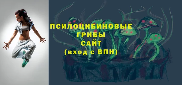 СК Алексин