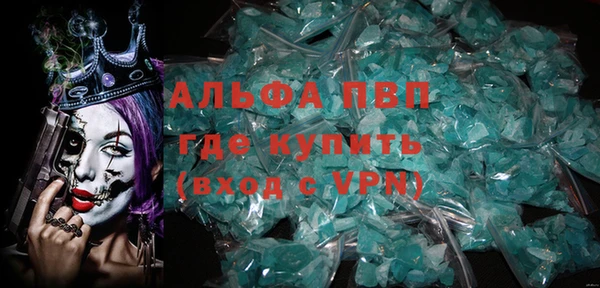 СК Алексин