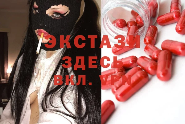 СК Алексин