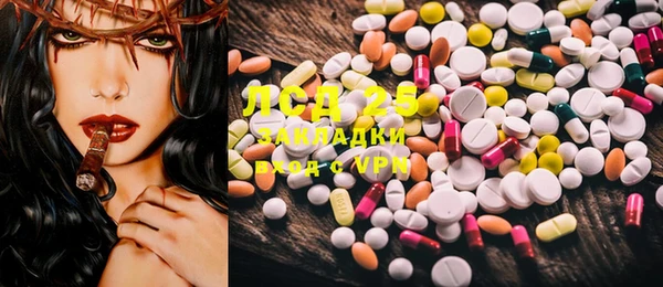 PSILOCYBIN Алзамай