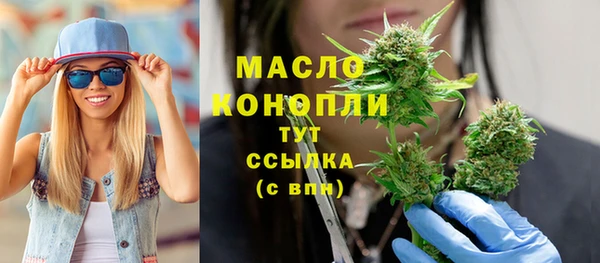 СК Алексин