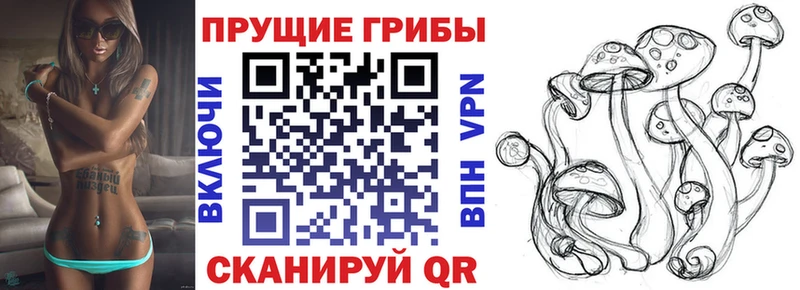hydra tor  Краснослободск  Псилоцибиновые грибы мухоморы  что такое наркотик 